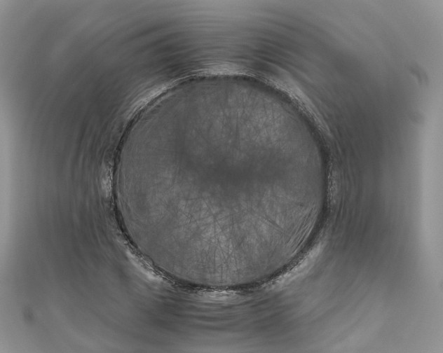 X0000111010833200906261518
