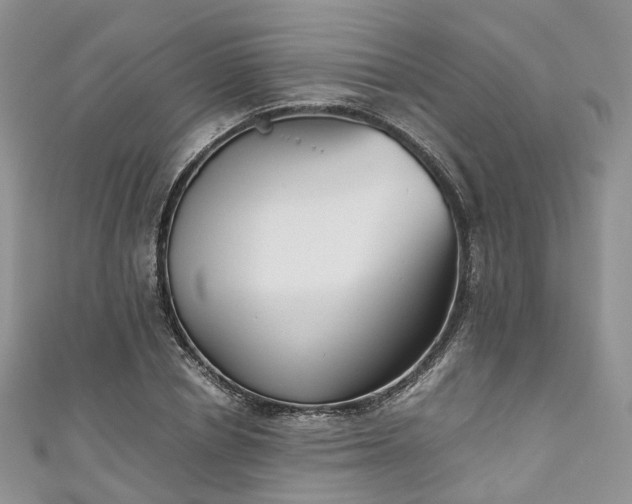 X0000111010834200906261518