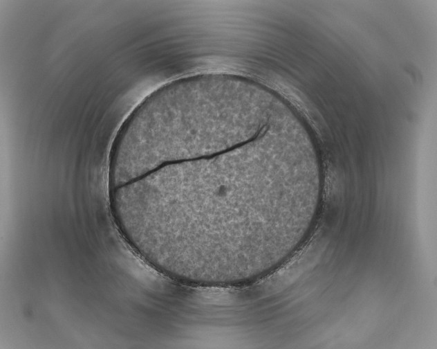 X0000111010836200906261518