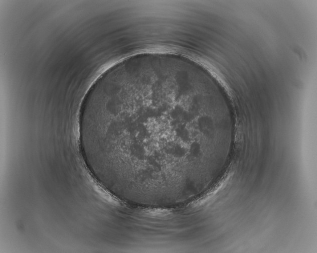 X0000111010837200906261518