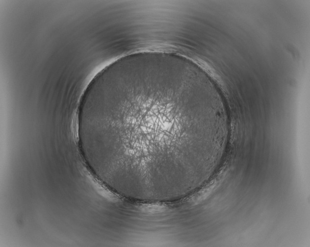 X0000111010838200906261518