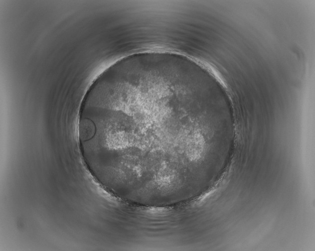 X0000111010839200906261518