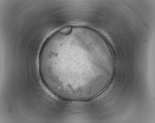 X0000111010840200906261518