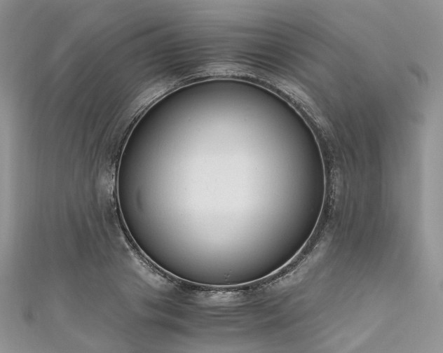 X0000111010841200906261518