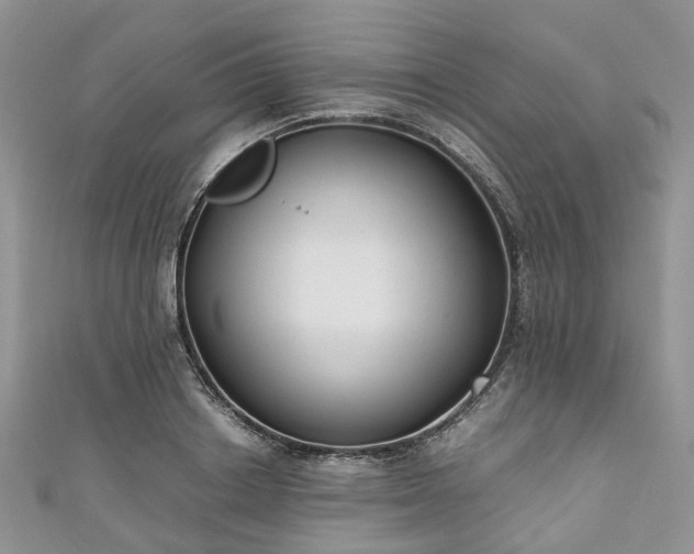 X0000111010842200906261518
