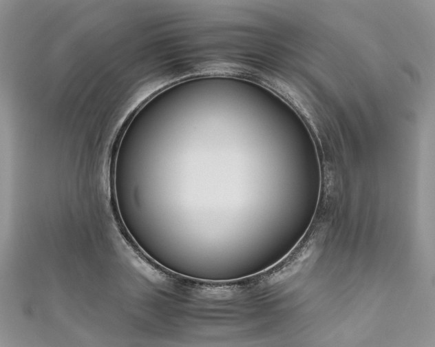 X0000111010843200906261518