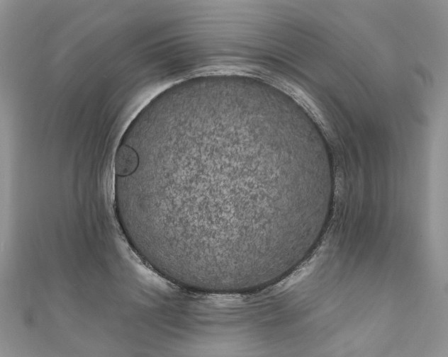 X0000111010844200906261518