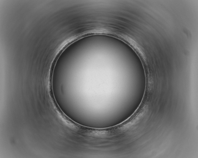 X0000111010845200906261518
