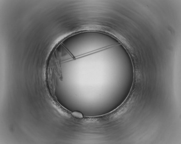 X0000111010846200906261518