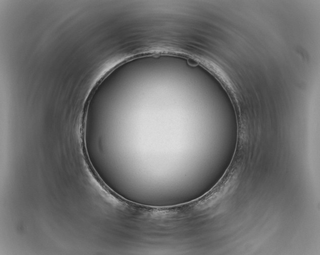 X0000111010847200906261518