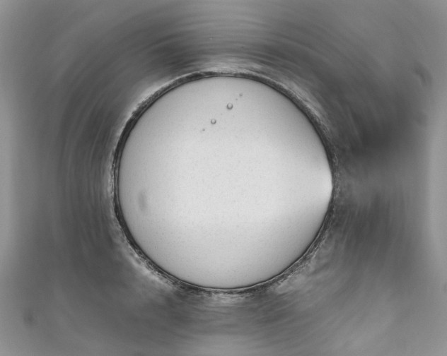 X0000111010848200906261518