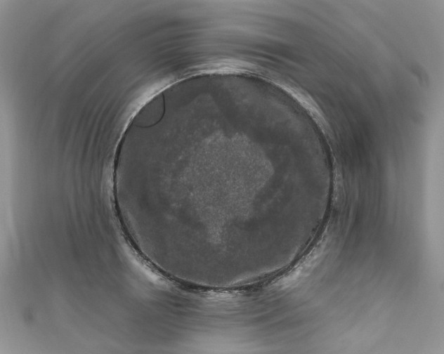 X0000111010850200906261518