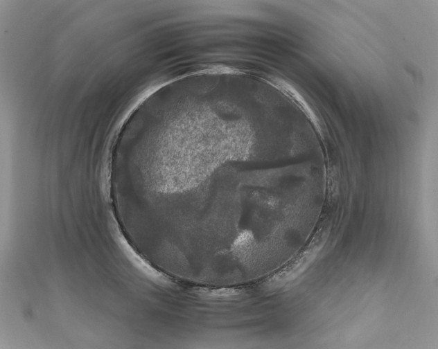 X0000111010851200906261518