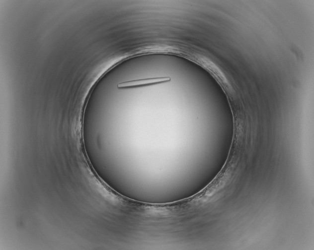 X0000111010852200906261518
