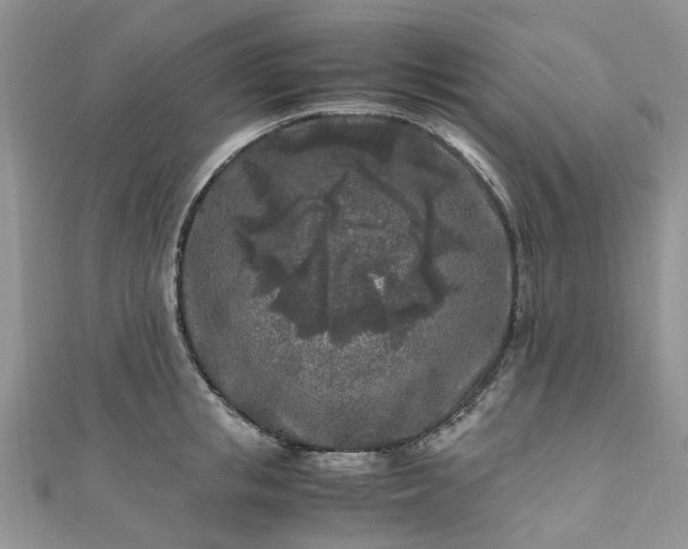 X0000111010853200906261518