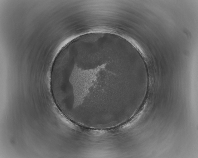 X0000111010854200906261518