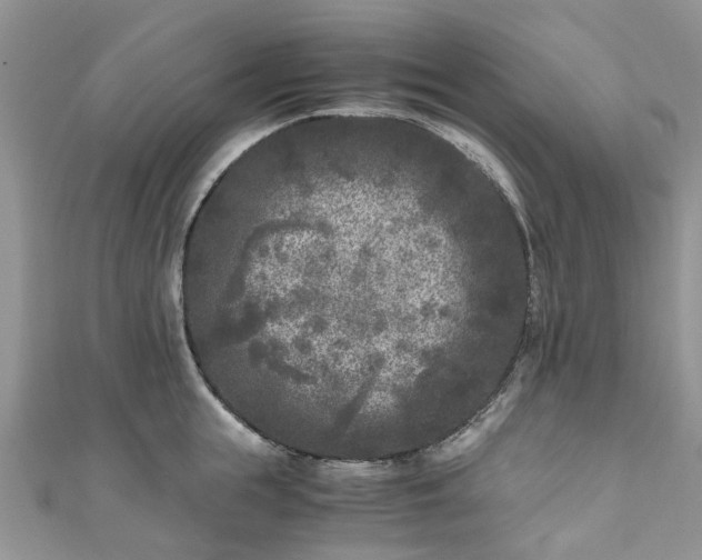 X0000111010855200906261518