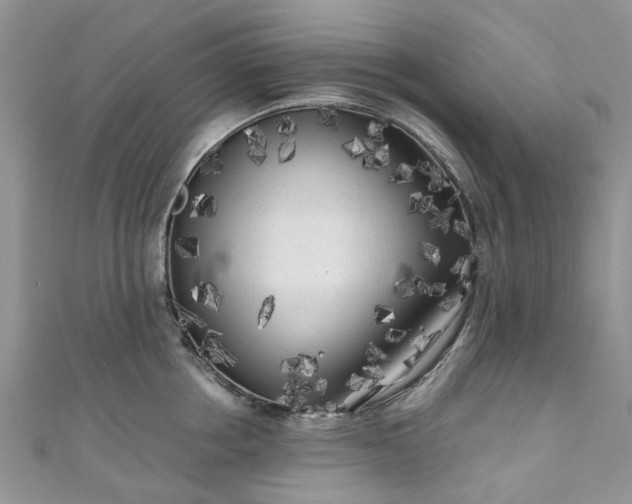 X0000111010858200906261518