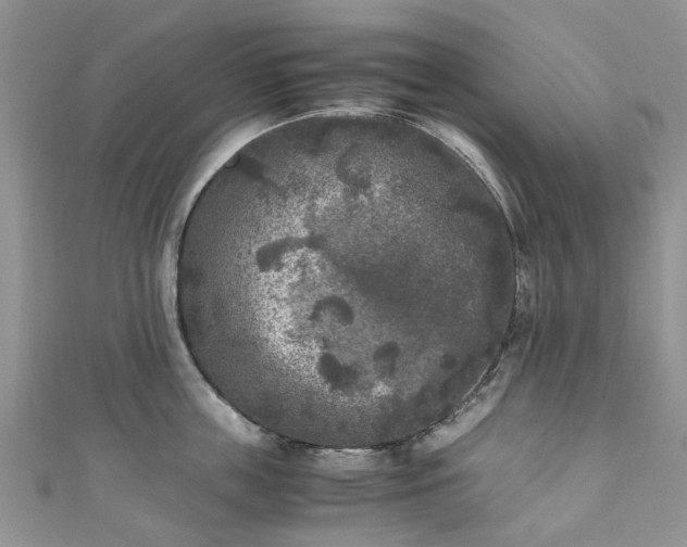 X0000111010859200906261518