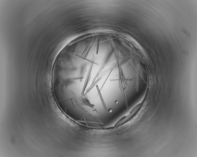 X0000111010860200906261518
