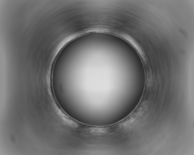 X0000111010861200906261518
