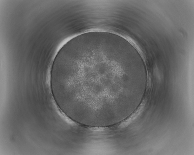 X0000111010862200906261518