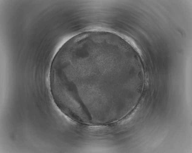 X0000111010863200906261518