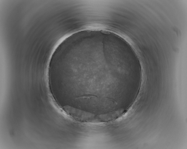 X0000111010864200906261518