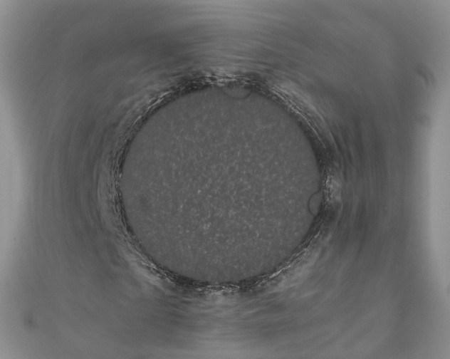 X0000111010865200906261517