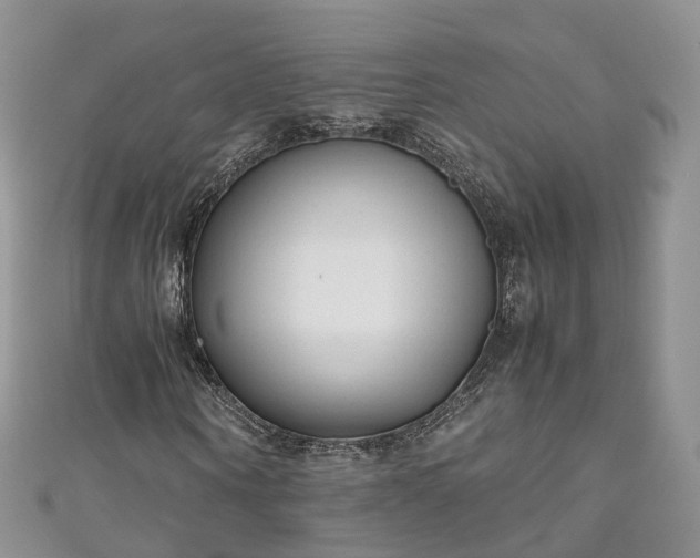 X0000111010866200906261517