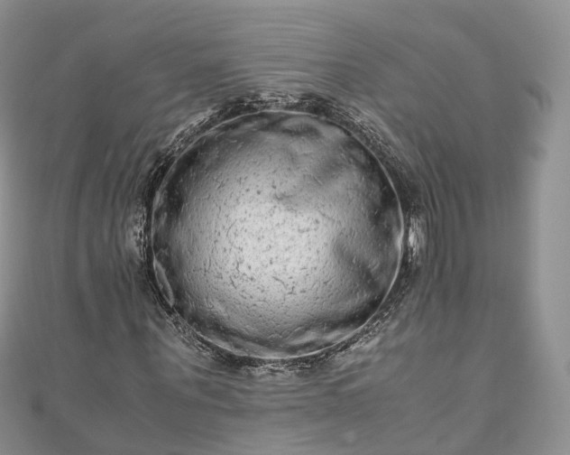 X0000111010867200906261517