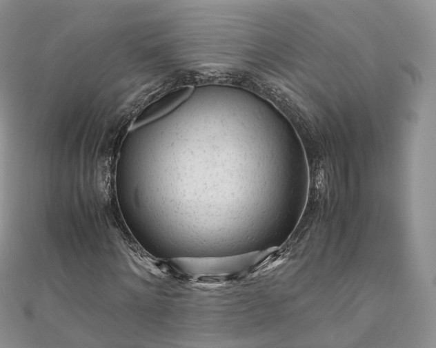 X0000111010868200906261517