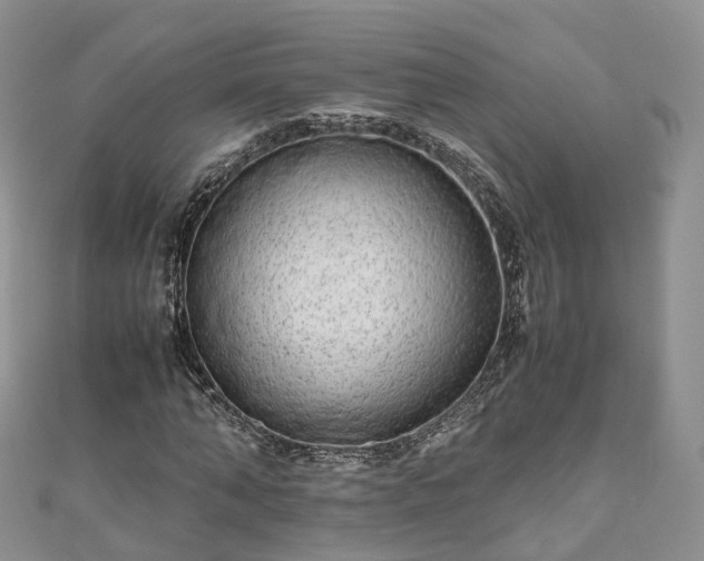 X0000111010870200906261517