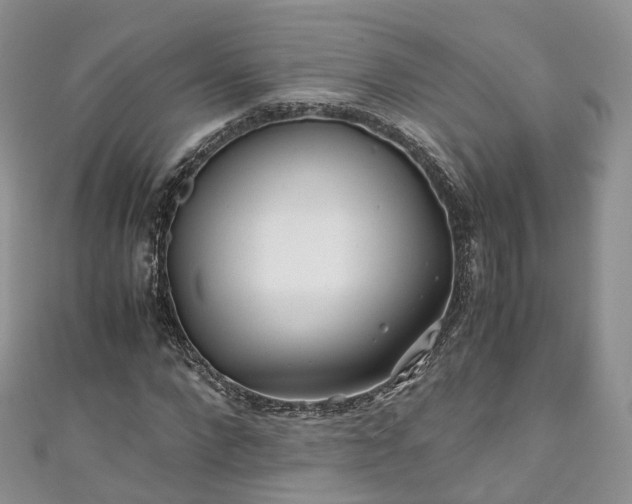 X0000111010872200906261517