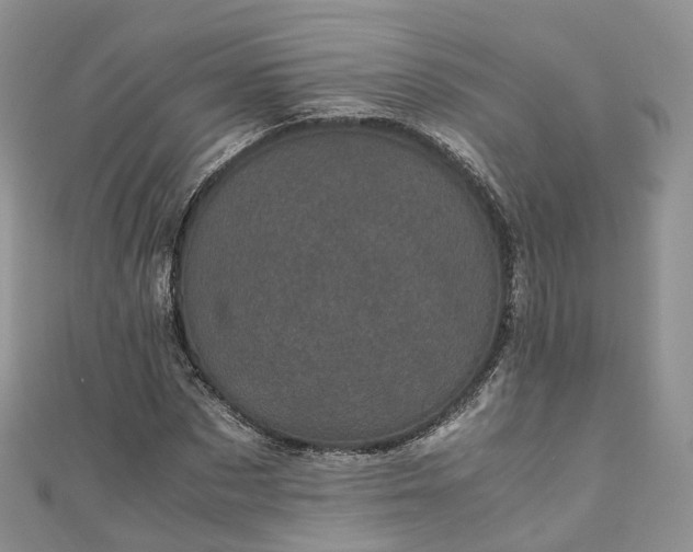 X0000111010873200906261517