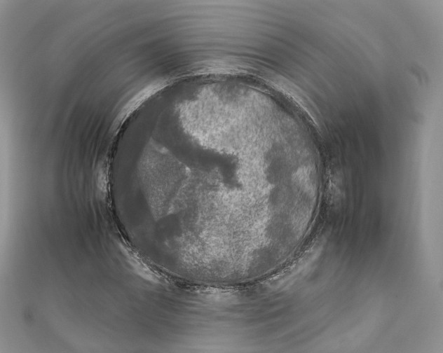 X0000111010874200906261517