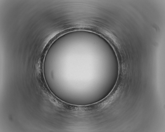 X0000111010875200906261517