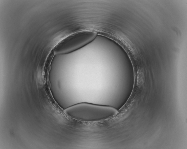 X0000111010876200906261517