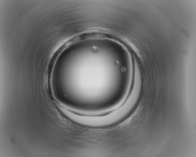 X0000111010877200906261517