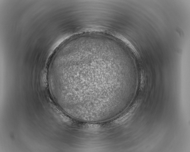 X0000111010878200906261517