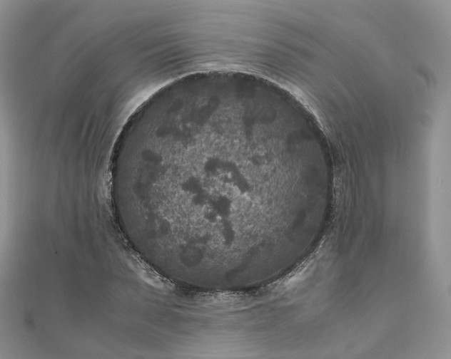 X0000111010879200906261517