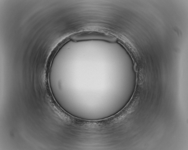X0000111010880200906261517
