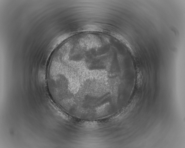 X0000111010882200906261517