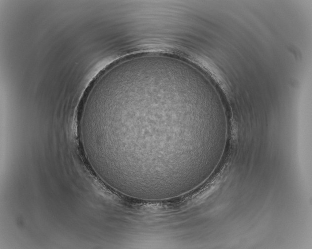 X0000111010883200906261517