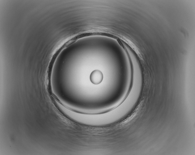 X0000111010885200906261517