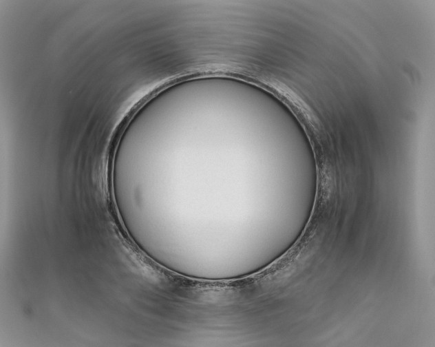 X0000111010886200906261517