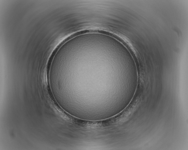 X0000111010887200906261517