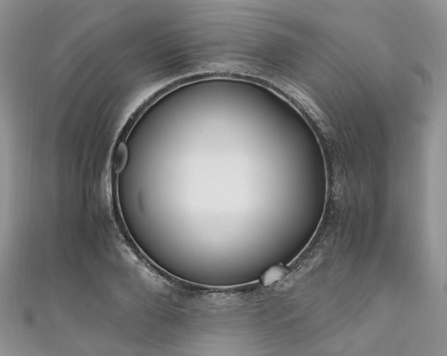 X0000111010888200906261517