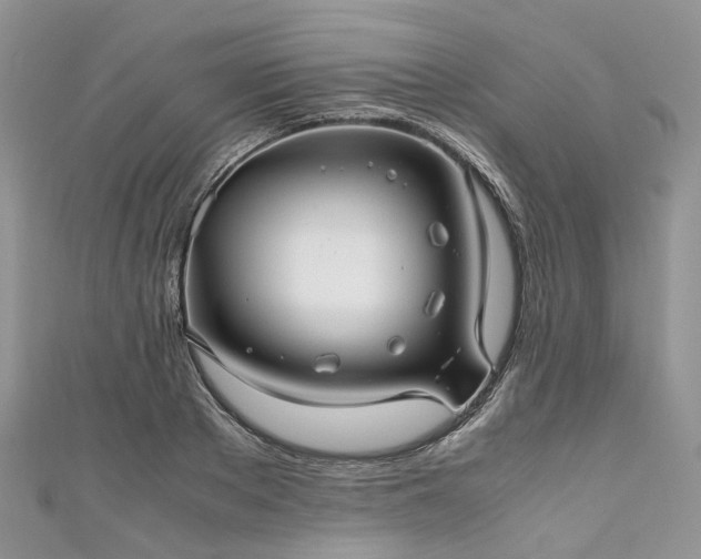 X0000111010889200906261517
