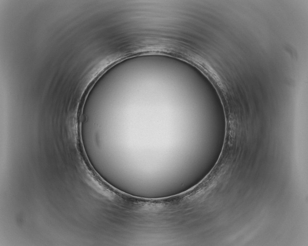 X0000111010890200906261517